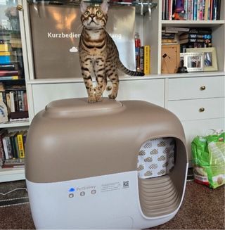 Lettiera automatica PetSnowy - NUOVA