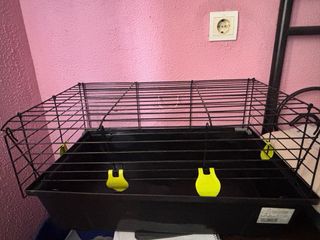 Jaula para conejo o mascota