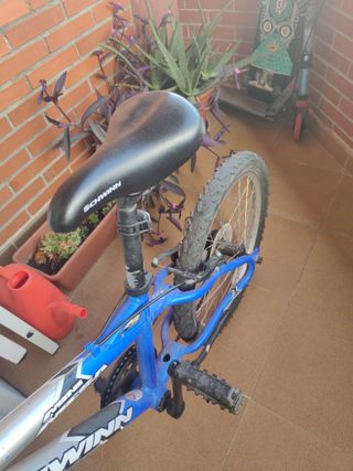 Bicicleta Infantil Schwinn.