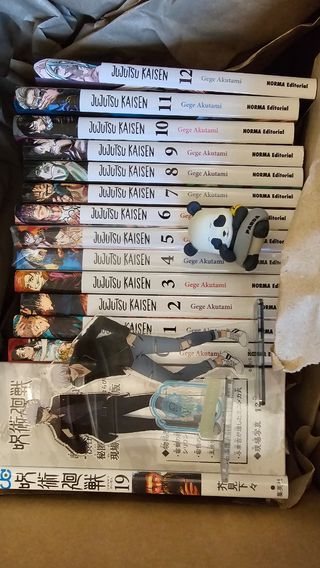 Jujutsu kaisen 19 especial japonesa