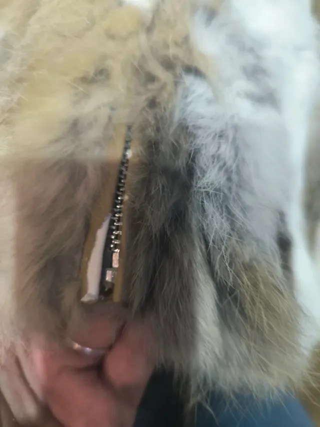 Chaqueta pelo multicolor Easy Wear