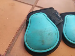 Protectores traseros caballo