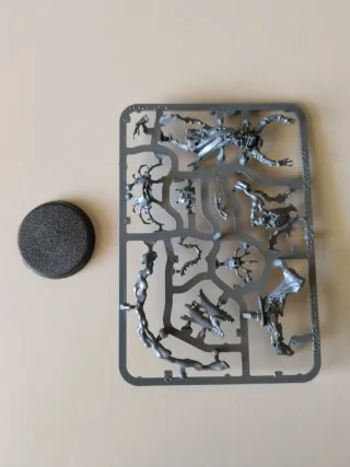 Mortisan Ossifector Age of sigmar