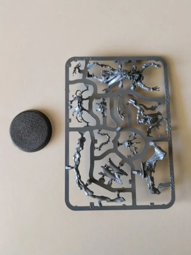 Mortisan Ossifector Age of sigmar