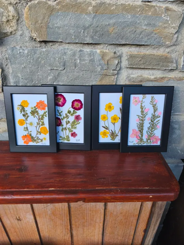 4 Cuadros Flores Secas Naturales