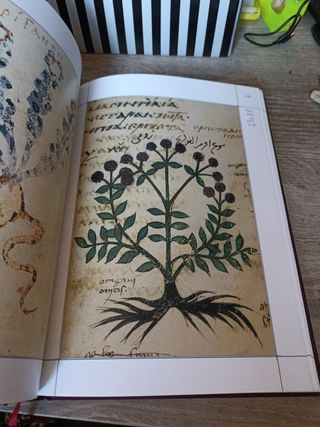 Theriaka Y Alexipharmaca De Nicandro