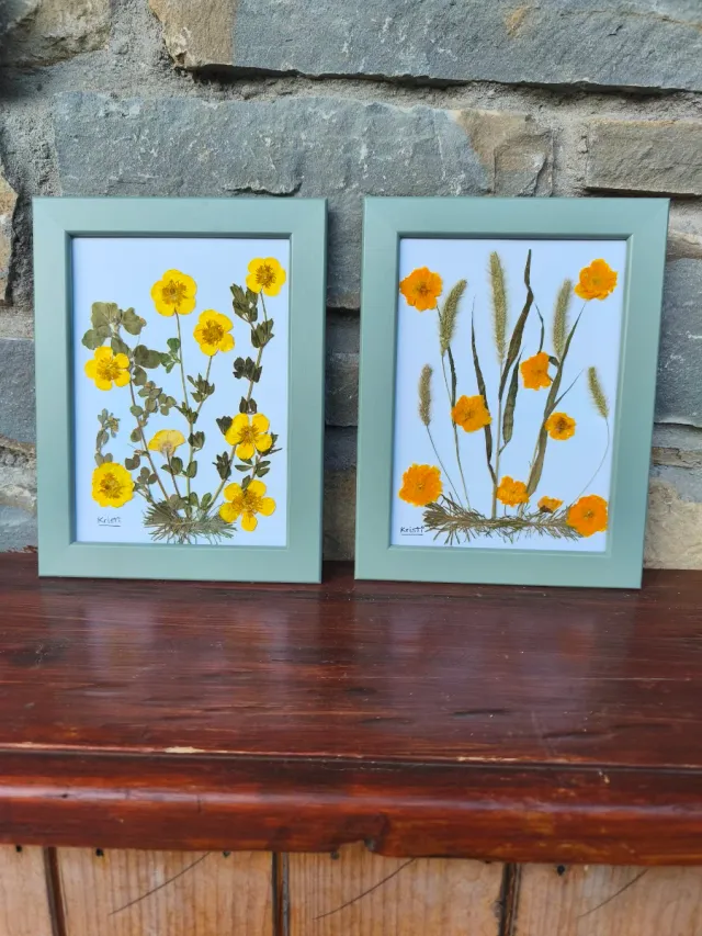 2 Cuadros Flores Secas Naturales