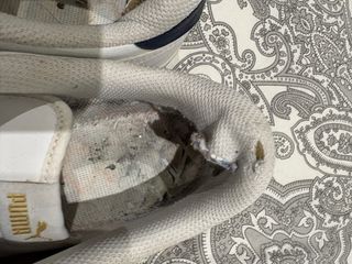 Zapatillas Puma Blancas Talla 45