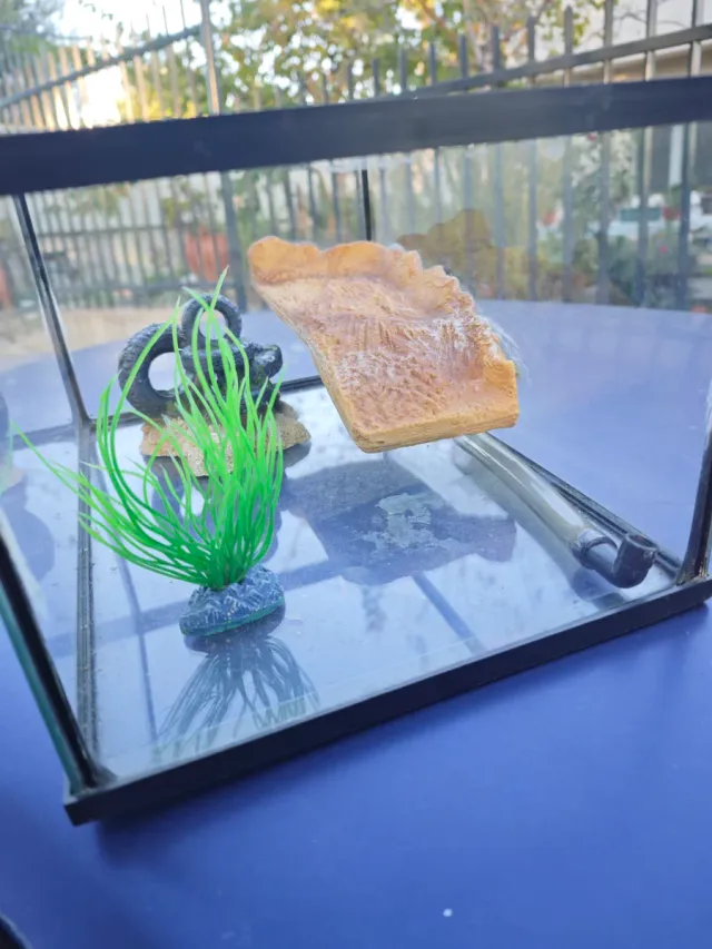 Tanque de peixes tartarugas