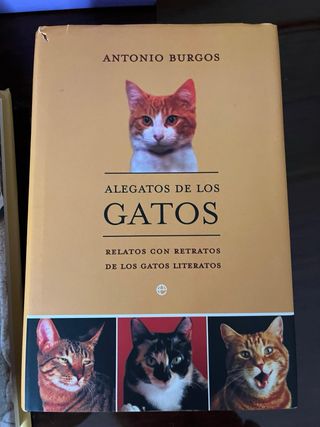 Estuche gatos : gatos sin frontera y alegatos d...