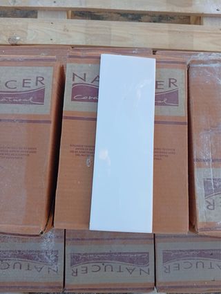 Adhesivo RAKO SYSTEM AD550 25kg
10