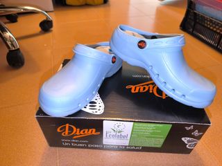 Zuecos de trabajo azules Dian