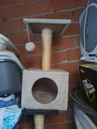 Tiragraffi per gatti con giocattolo