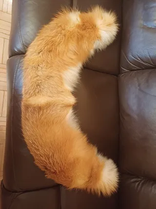 Cuello de piel de zorro