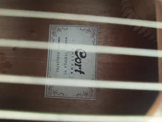 Guitarra Cort Izquierda