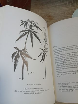 Hierbas Medicinales En La Biblia