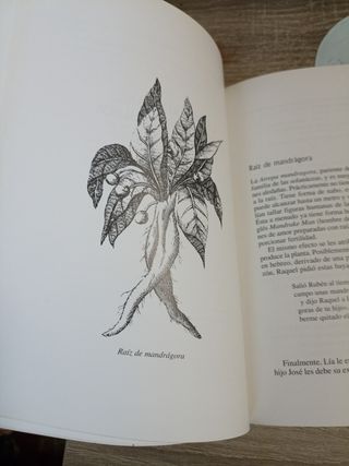 Hierbas Medicinales En La Biblia