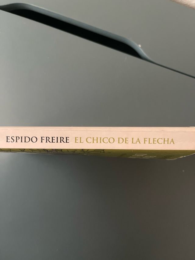 El chico de la flecha (Spanish Edition)