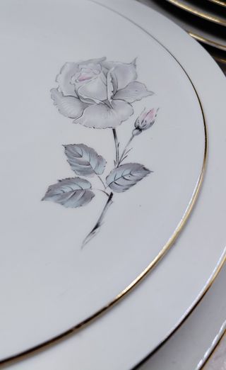 Servizio di piatti in ceramica Bavaria