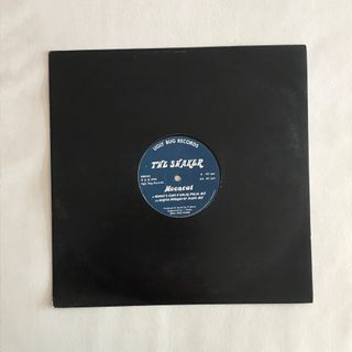 Disco vinil The Skaker Mooncat house electronic
