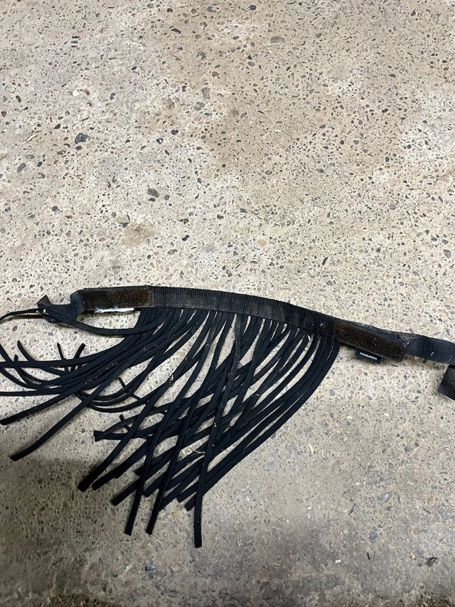 Frontalera para caballo anti-moscas FOUGANZA