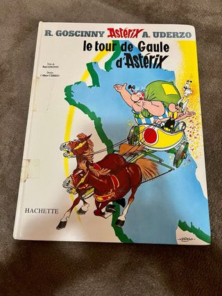 Le tour de Gaule d'Astérix