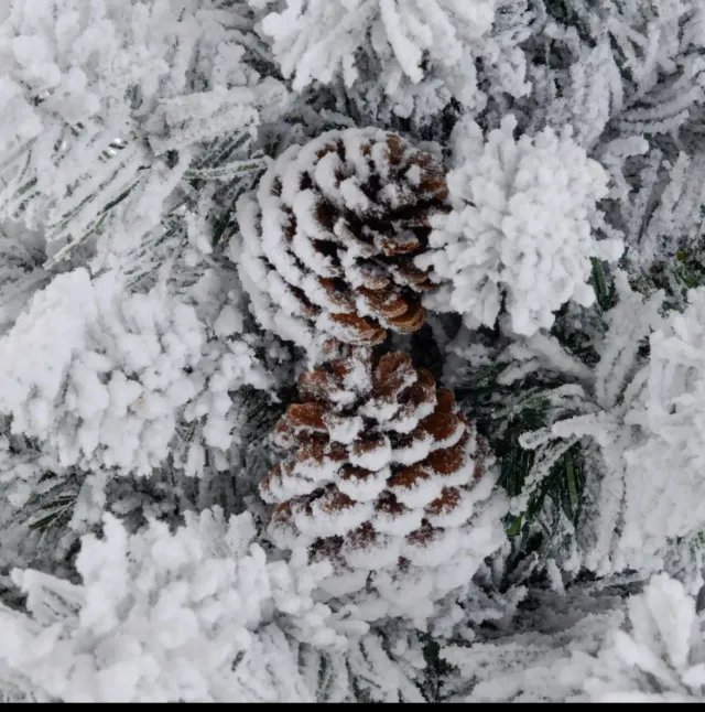 Árbol de Navidad con luces  blanco
