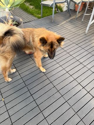 Baldosas composite click gris antracita 30cmx30cm