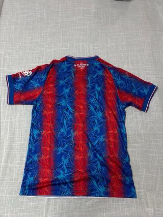 Camiseta Crystal Palace Macron NET88