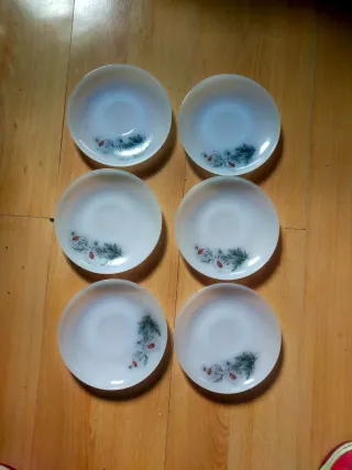 6 platillos Arcopal margaritas