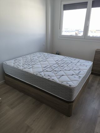 Canapés desde 169€