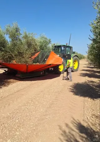 Servicios agrícolas