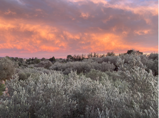 Fiesta memorable en privado - eventos