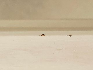 Piecero cama antiguo blanco