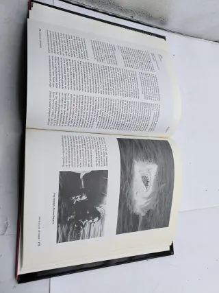 Libros curiosos 10€ unidad