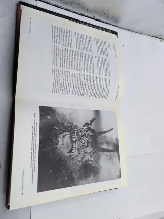 Libros curiosos 10€ unidad