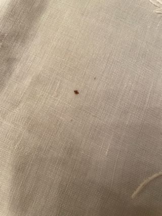 Coppia tendine a vetro lino filet