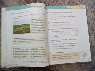 Nou Bonvent Llengua Primària 2 ANAYA