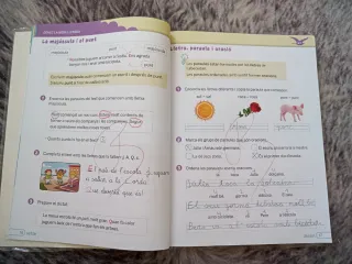 Nou Bonvent Llengua Primària 2 ANAYA