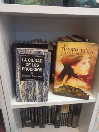 Libros baratos Piel de Mariposa Triana III