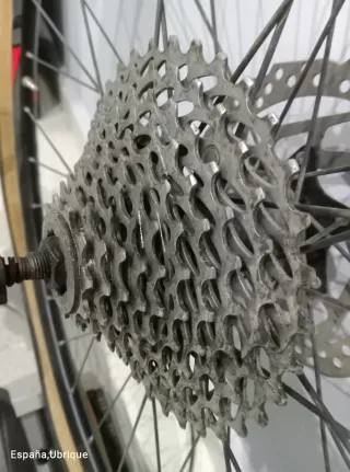 Rodillo Elite Force para entrenamientos