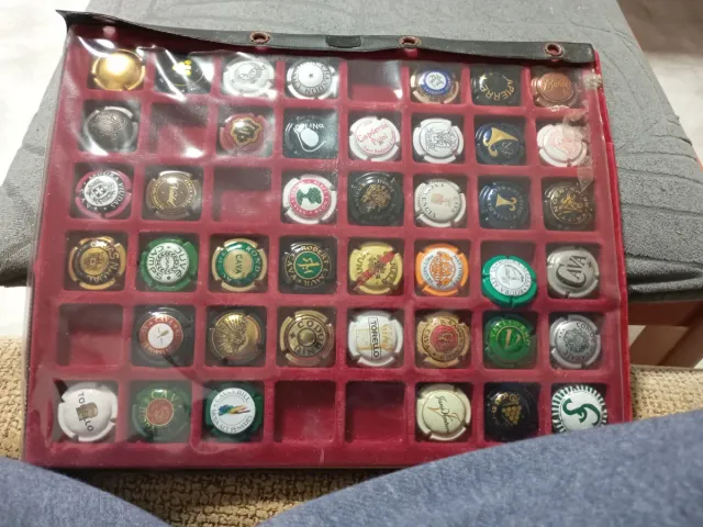 Colección chapas de cava