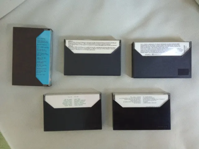 The House of Rising sun