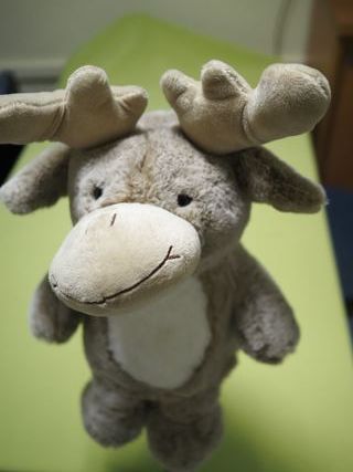 Funda Driver de Golf - Reno Peluche