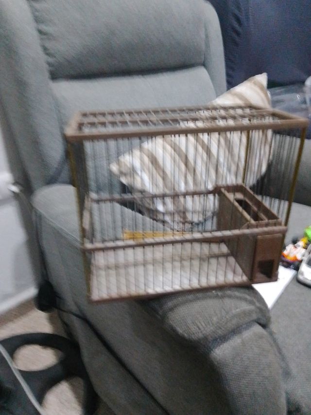 Jaula plástico individual pajaro