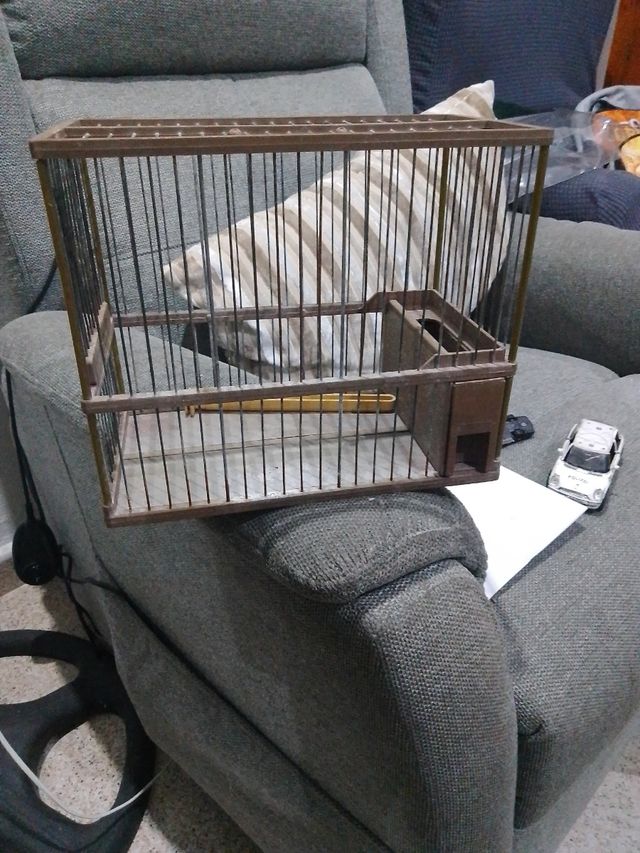 Jaula plástico individual pajaro