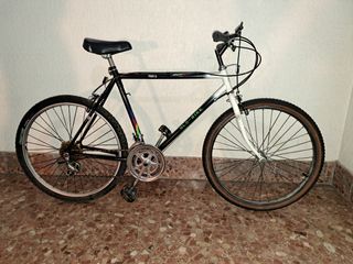 Bicicleta MTB Clásica Glo-Bike