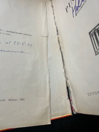 rarissimo libro del 1965 Pinocchio