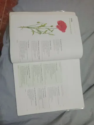 Biología y Geología 1.