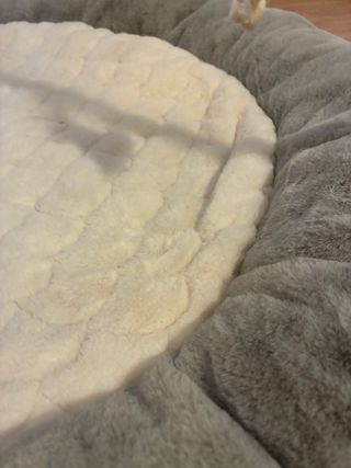 Gimnasio Bebé Arco Actividades Peluches